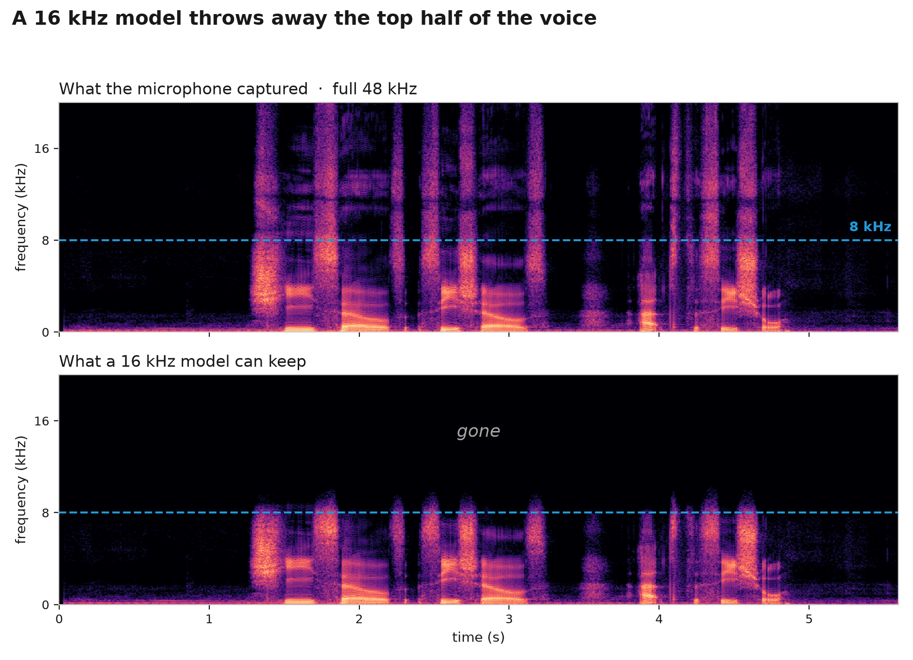 Two stacked spectrograms of the same voice clip: the full 48 kHz recording on top, and what a 16 kHz model keeps below, with everything above the 8 kHz line gone